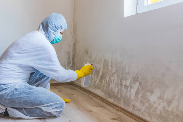 Crawl Space Mold Remediation treatment of floor joists in Elm City